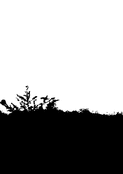 Bordure de feuilles pour un r&eacute;confort doux